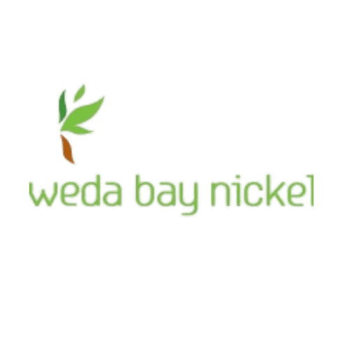 /assets/client-logo/3.png